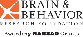 Support Brain &amp; Behavior Research | Brain and Behavior Research Foundation